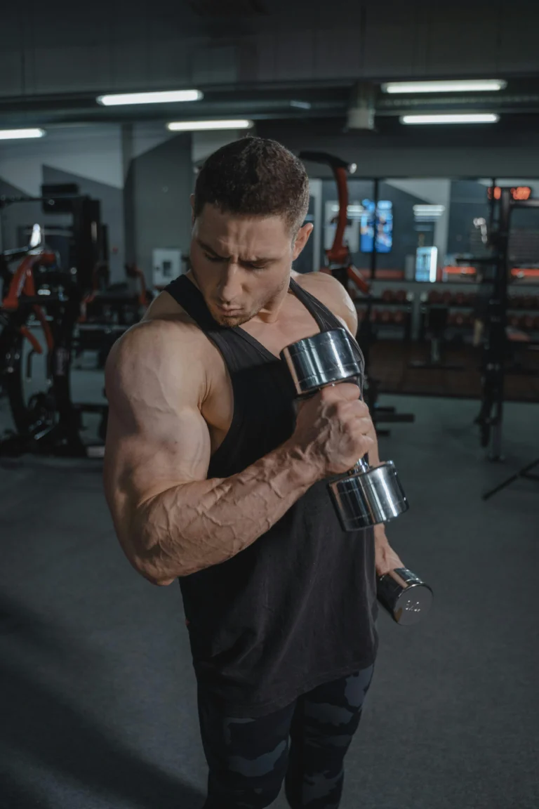 pull day exercises
